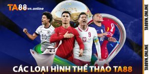 Các Loại Hình Thể Thao TA88