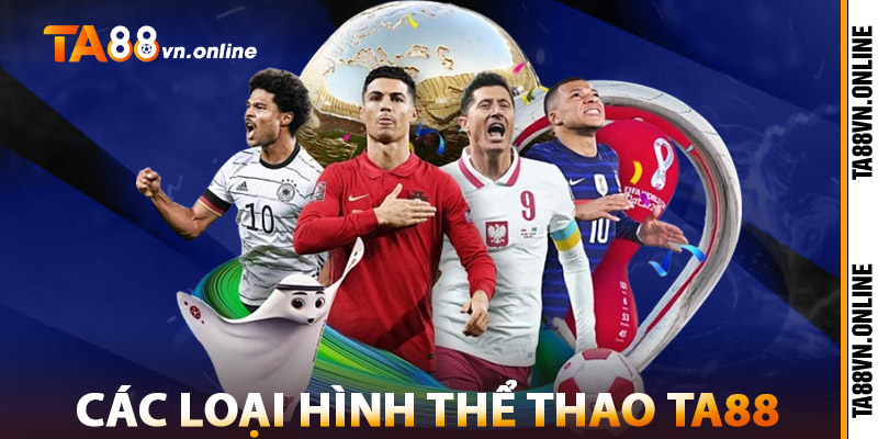 Thể Thao TA88 – Nền Tảng Chuyên Nghiệp, Hàng Đầu Thế Giới 2 Các Loại Hình Thể Thao TA88
