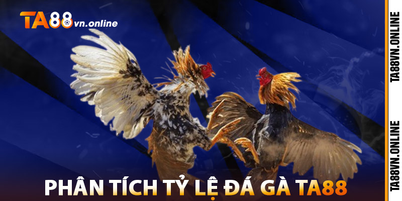 Đá Gà TA88 – Trải Nghiệm Đá Gà Thomo, Gà Nòi Kịch Tính 3 Phân Tích Tỷ Lệ Đá Gà TA88